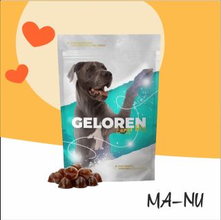 🐶 Radost pro všechny chlupáče! 🐾 Od kloubní výživy po pivo pro psy – máme vše pro zdraví, energii a spokojenost vašich...