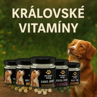 🐾 Dopřej svému parťákovi jen to nejlepší! 🐕✨ FreshDog vitamíny podporují zdravé klouby, krásnou srst, svěží dech i...